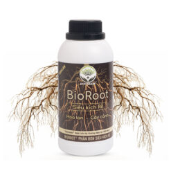 Phân bón Kích rễ BioRoot