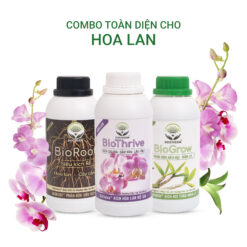 Combo phân bón toàn diện hoa lan