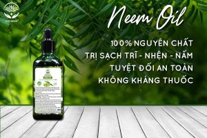 DAU-NEEM-MGUYEN-CHAT-CHINH-HANG