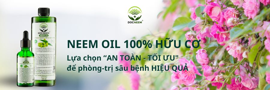 dau-neem-an-toan-khong