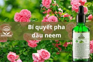 pha-dau-neem