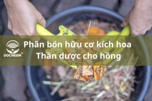 phan-bon-huu-co-kich-hoa