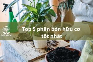 phan-bón-huu-co-tot