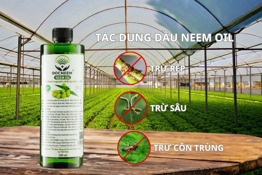 tác dụng của dầu neem oil