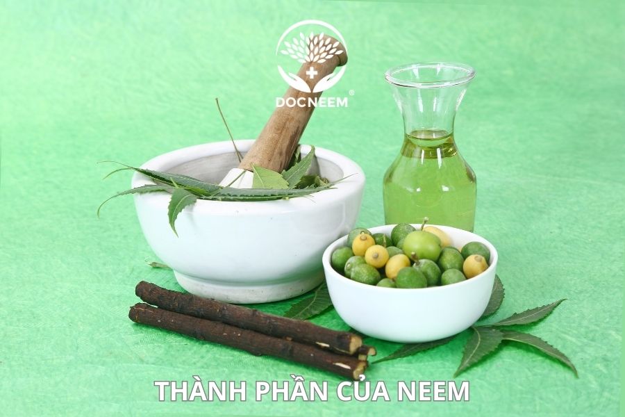 thành phần của neem