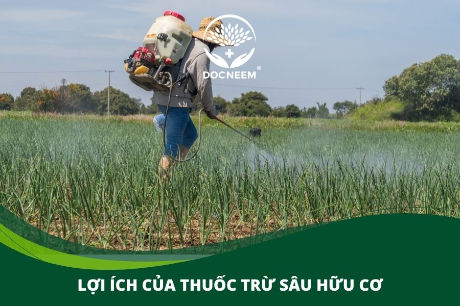 Lợi ích của thuốc trừ sâu hữu cơ