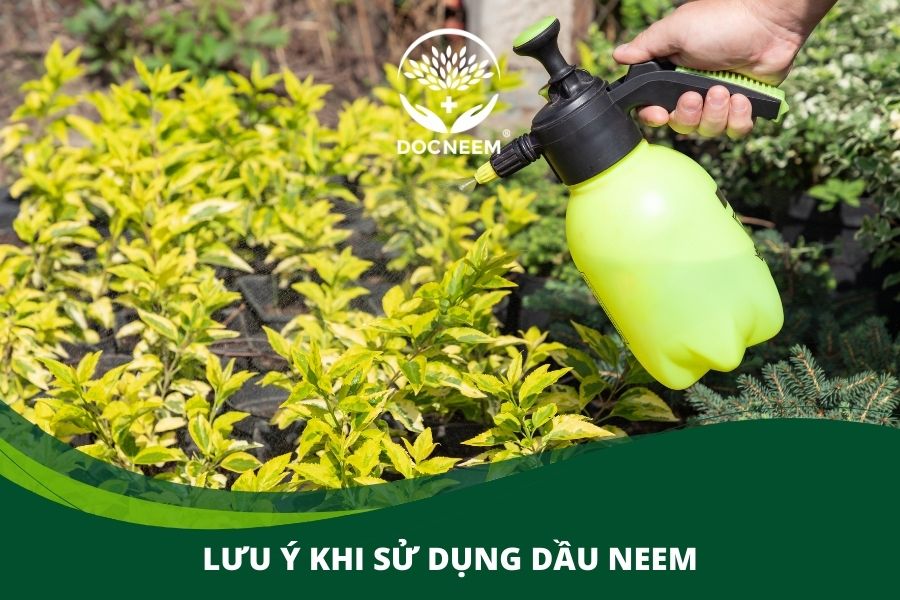 Lưu ý khi sử dụng dầu Neem