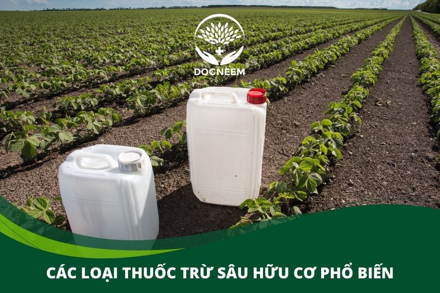 các loại thuốc trừ sâu phổ biến