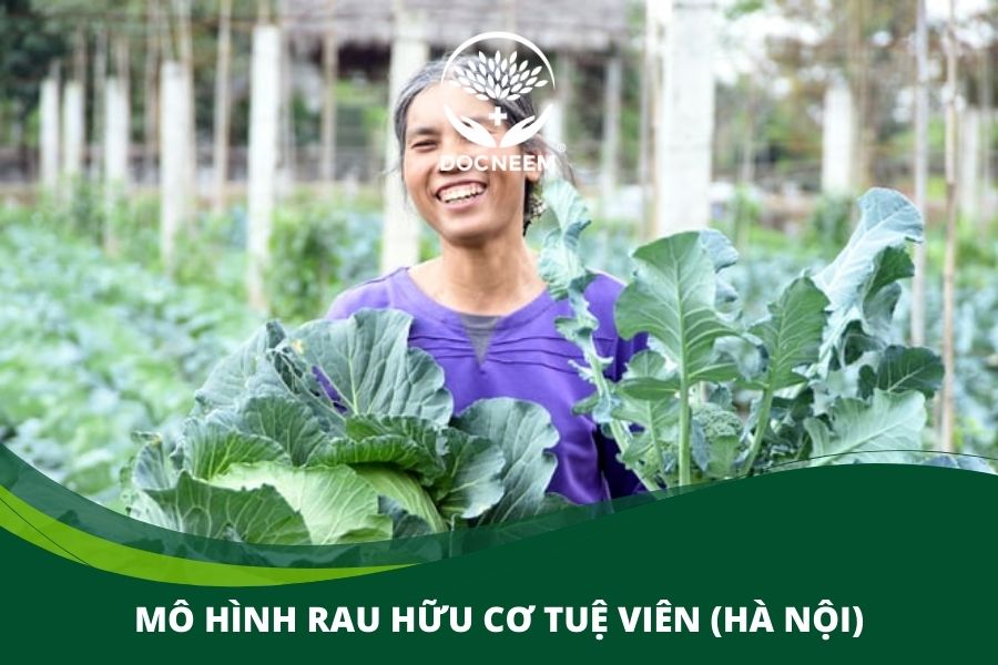 mô hình sản xuất nông nghiệp hữu cơ (2)