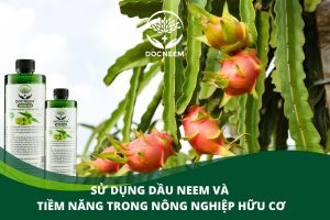 neem thuốc trừ sâu trong nông nghiệp hữu cơ