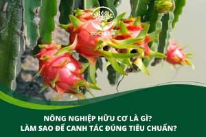 nông nghiệp hữu cơ