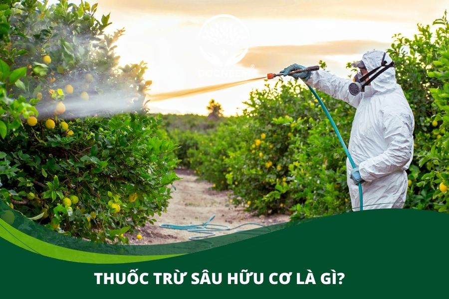 thuốc trừ sâu hữu cơ là gì