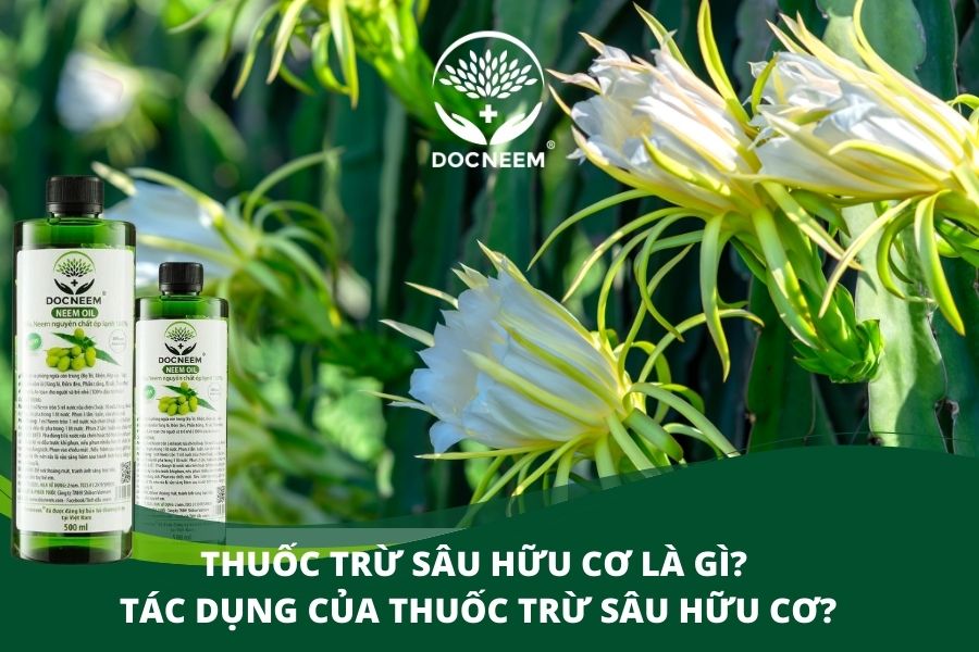 thuốc trừ sâu hữu cơ