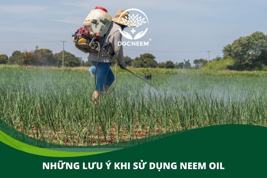 lưu ý khi sử dụng neem oil